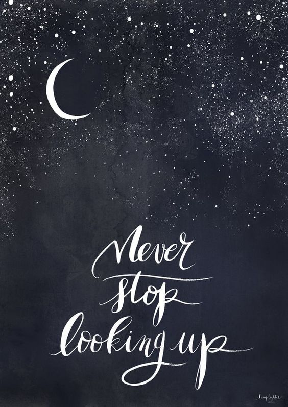 Never Stop Looking Up Quote