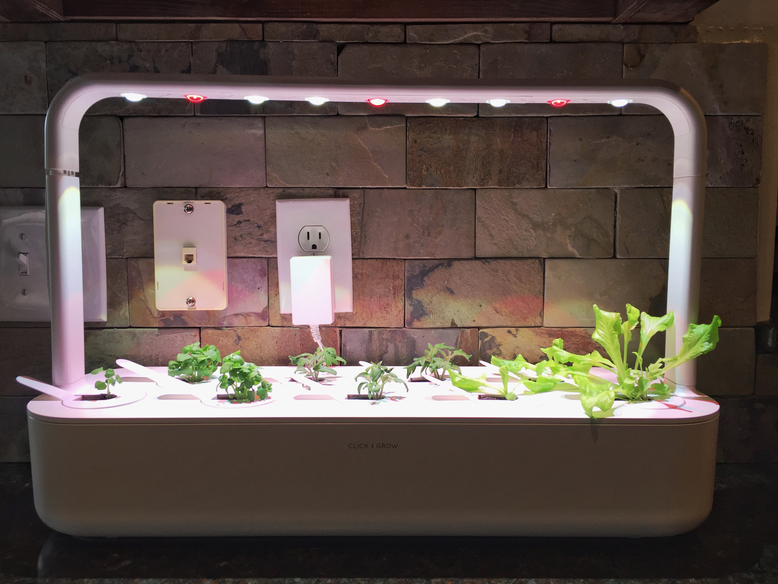 I Bought a Smart Garden