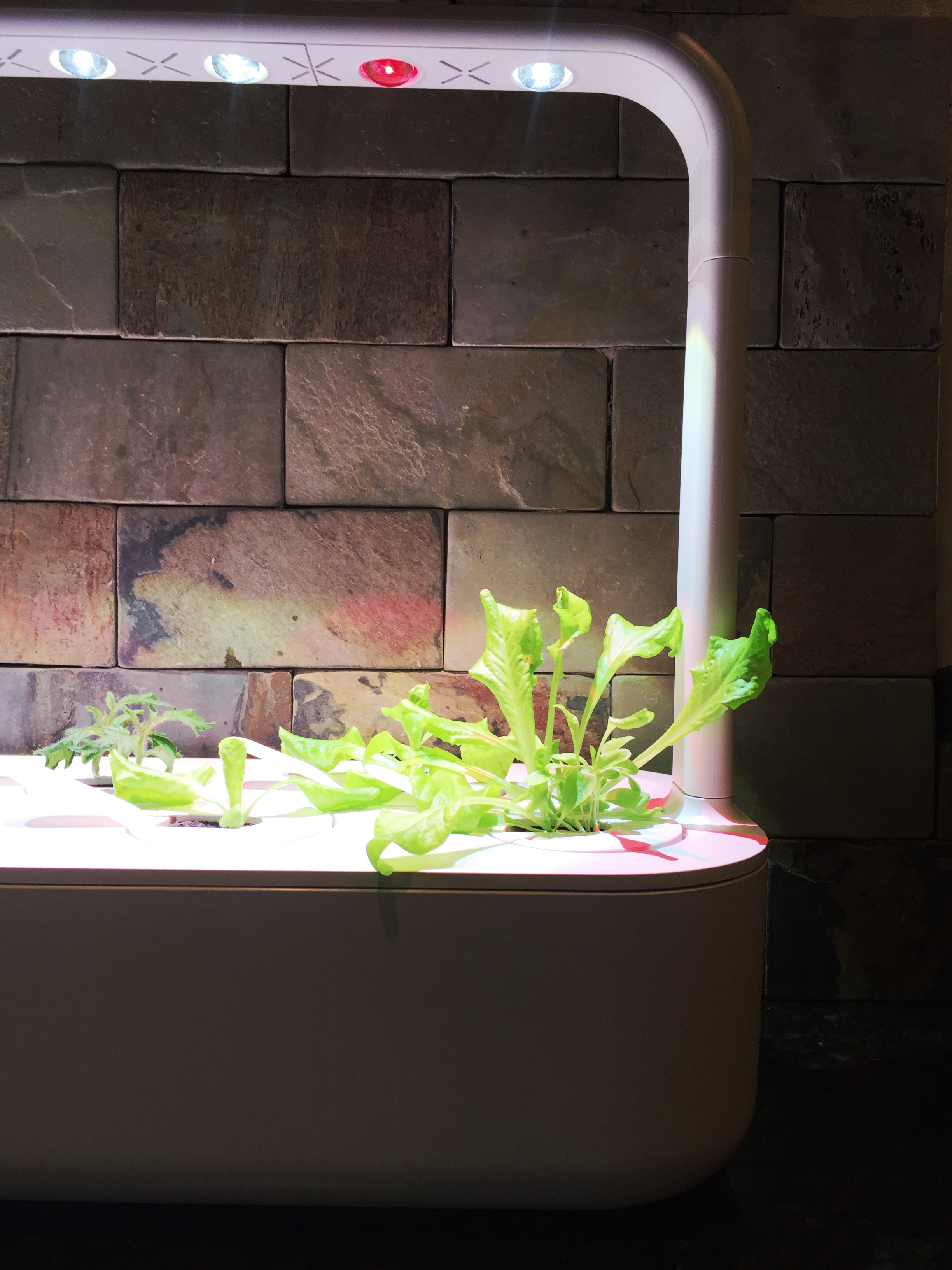 I Bought a Smart Garden